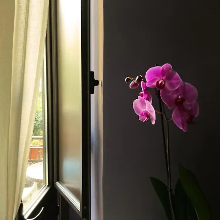 Apartment Tabula Platino House