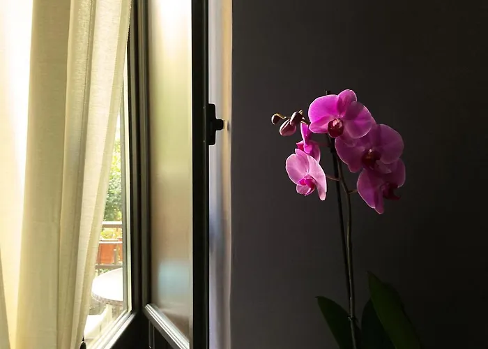 Appartement Tabula Platino House